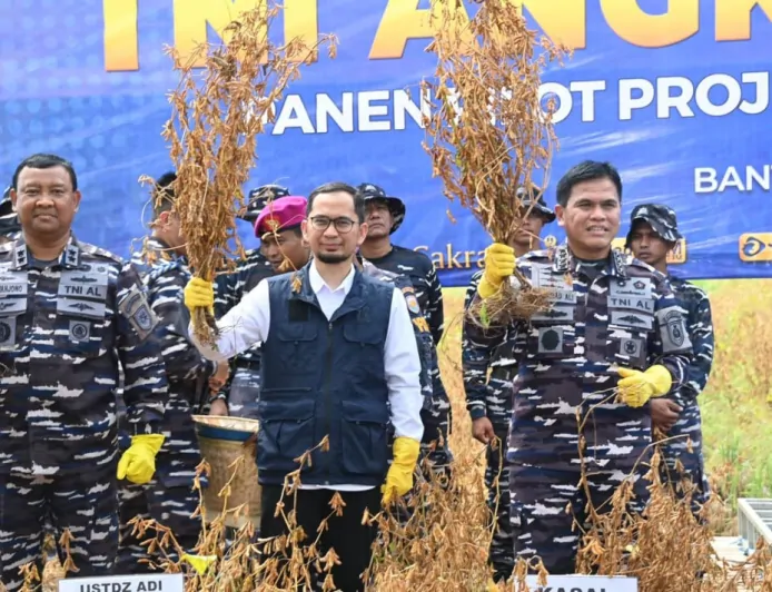 Wujudkan Ketahanan Pangan, TNI AL Bakal Uji Coba Panen Kedelai di Lampung dan Bogor