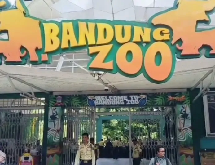 2 Anak Harimau Benggala Mati di Bandung Zoo, Farhan: Tingkatkan Penerapan Sistem Biosekuriti di Kebun Binatang   