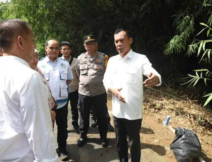 Tinjau Lokasi Banjir Jonggol dan Cileungsi, Wabup Bogor Jaro Ade Soroti Pentingnya Normalisasi Sungai
