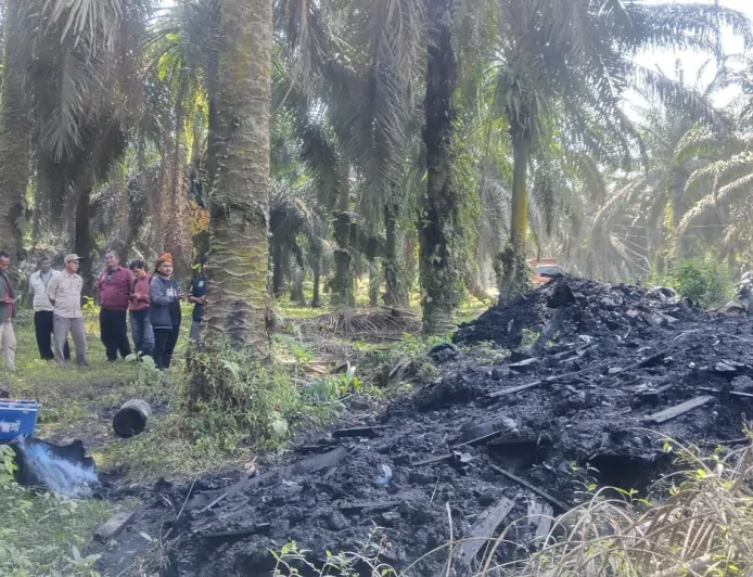 Warga Desa Rengasjajar Cigudeg Resah, Limbah Misterius Cemari Perkebunan Sawit