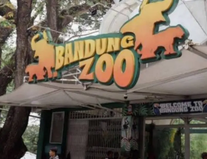 Pengelola Bandung Zoo Gugat Walikota Bandung ke Pengadilan Negeri