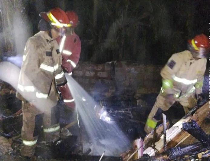 19 Ekor Kambing di Pamijahan Kabupaten Bogor Terpanggang dalam Kandang yang Terbakar