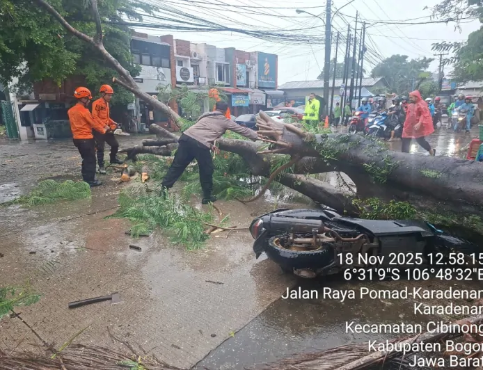 Satu Motor Tertimpa Pohon Tumbang di Cibinong Akibat Hujan Deras Disertai Angin Kencang