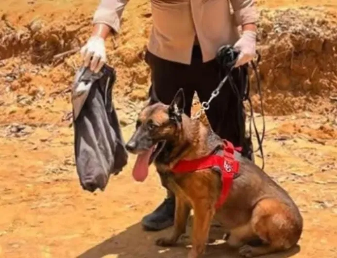 Polri Berduka, Satwa Anjing K9 "Reno" Gugur Saat Tugas Kemanusiaan di Agam Sumbar