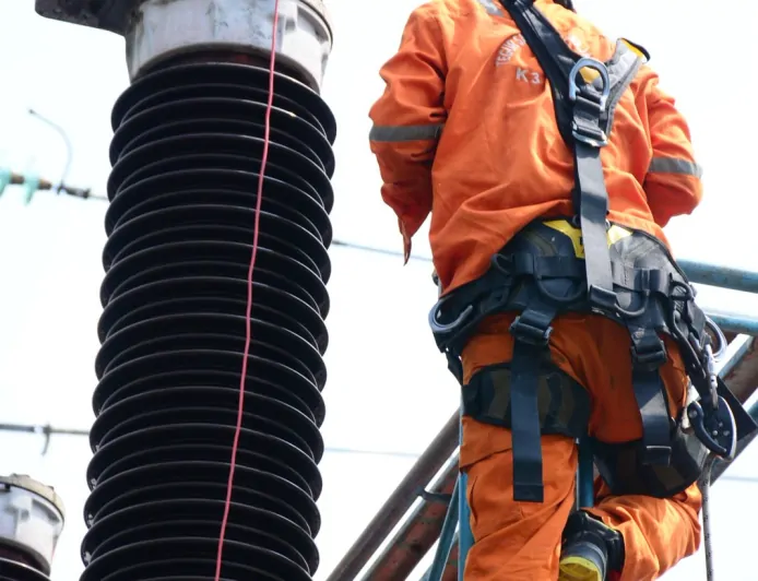 Wujudkan Energi Listrik untuk Rakyat, PLN UPT Bogor Lakukan Pemeliharaan Dua Tahunan Bay Penghantar 150 kV untuk Perkuat Keandalan Sistem Kelistrikan Jelang Nataru
