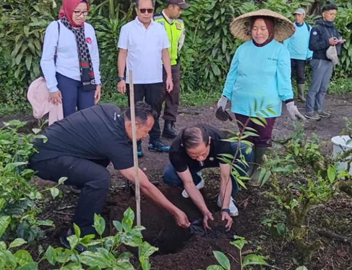 Menteri LH Hanif Faisol Tanam Ribuan Pohon di Hulu Sungai Ciliwung Puncak Kabupaten Bogor