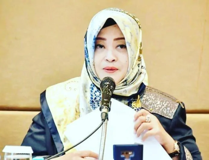 Penanggulangan Bencana Jadi Catatan Akhir Tahun, Fahira Idris Sampaikan Sejumlah Rekomendasi