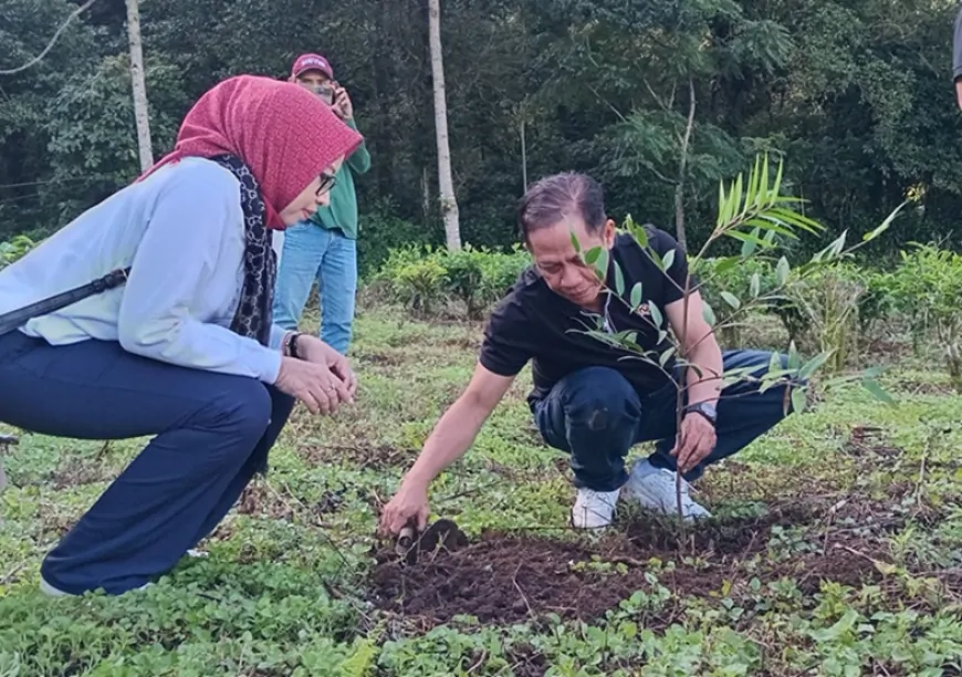 Hanif Faisol 2.webp