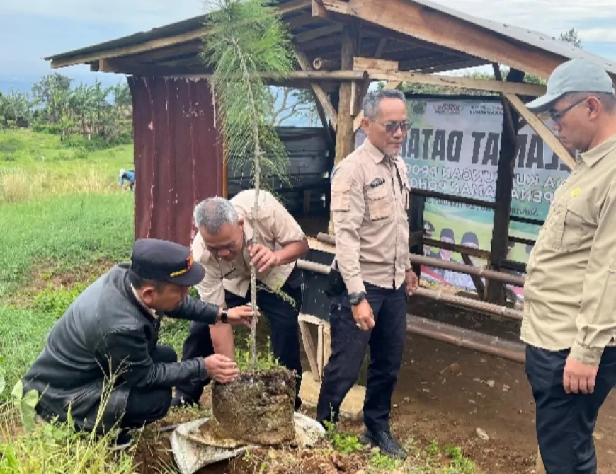 Sekda Tanam Pohon 2.webp