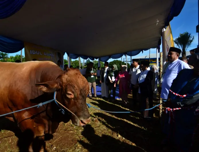 Perdana, Sapi Kurban Presiden Prabowo Berbobot Hampir 1,2 Ton Disembelih di Masjid Raya Nurul Wathon Bogor