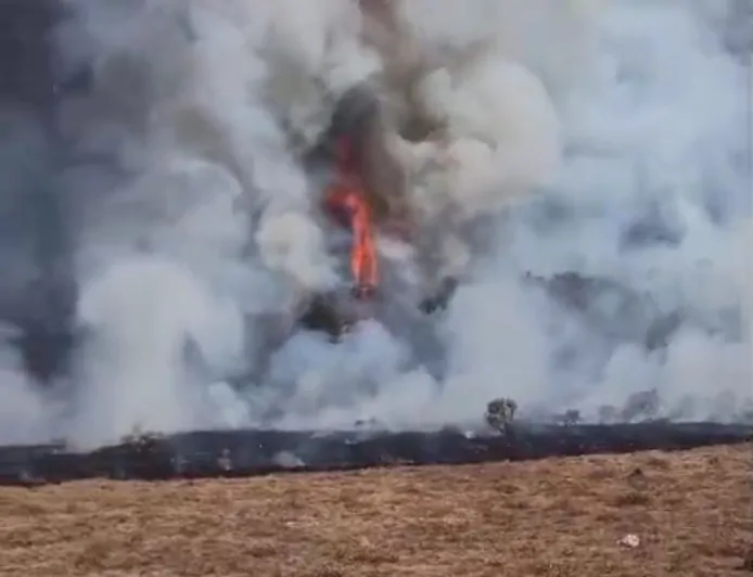 Alun-Alun Suryakencana Terbakar, Petugas Berjibaku Selamatkan Sabana Edelweiss, TNGGP Ambil Langkah Cepat Tutup Pendakian